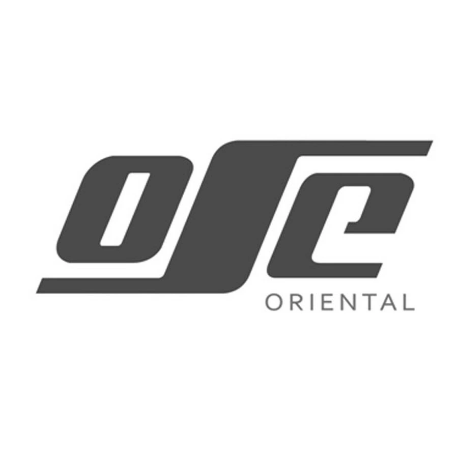 Oriental-Structural-Engineers-Private-Limited